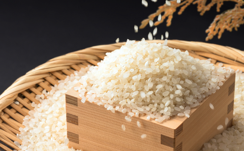 オンラインショップをリニューアルオープンしました!