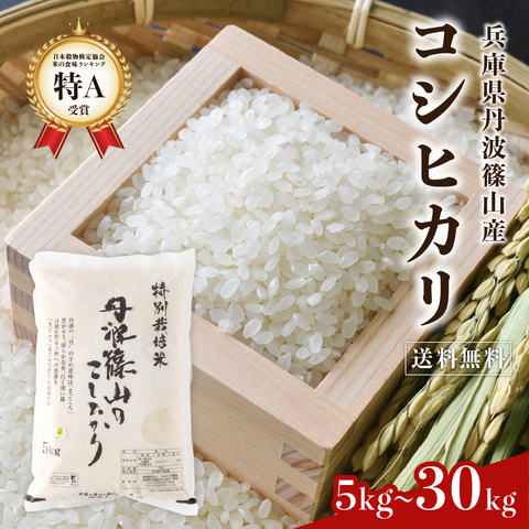 【早期予約】≪特別栽培米≫こしひかり【定期便】 精米