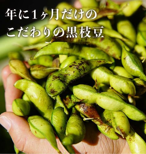 【今期最終便】11/4出荷!丹波篠山の黒大豆 さや枝豆1㎏ 【晩摘み・完熟】