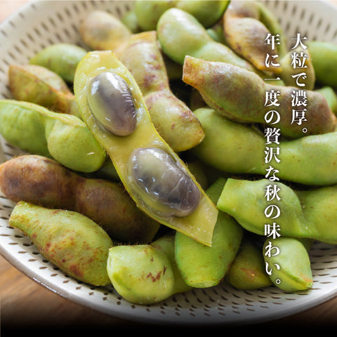 【今期最終便】11/4出荷!丹波篠山の黒大豆 さや枝豆1㎏ 【晩摘み・完熟】