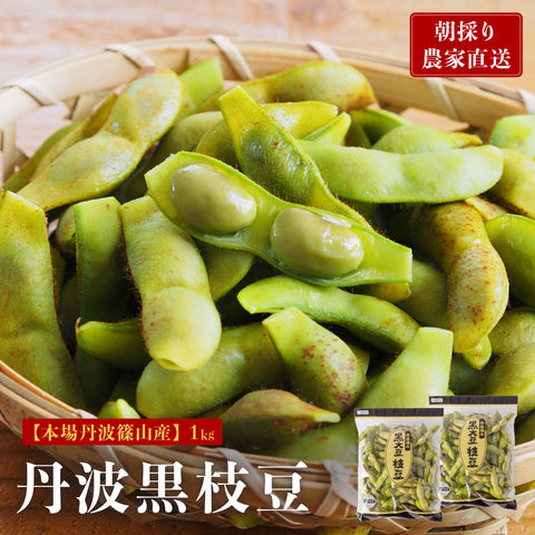 【早期予約】10/9出荷!丹波篠山の黒大豆 さや枝豆1㎏ 【初摘み】