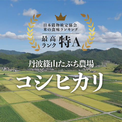 【早期予約】≪特別栽培米≫こしひかり【定期便】 精米