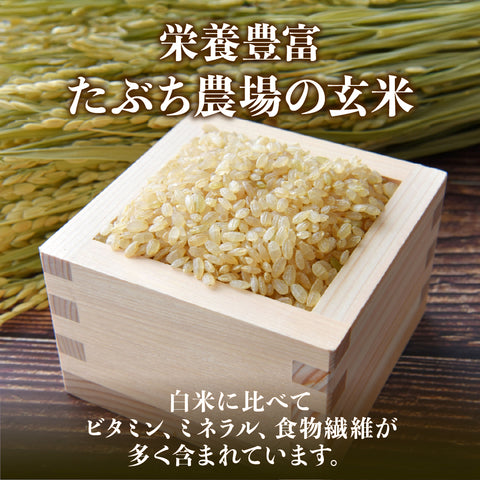 ≪特別栽培米≫ 令和7産こしひかり 玄米20㎏