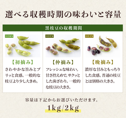 【早期予約】10/23出荷!丹波篠山の黒大豆 さや枝豆1㎏ 【晩摘み】