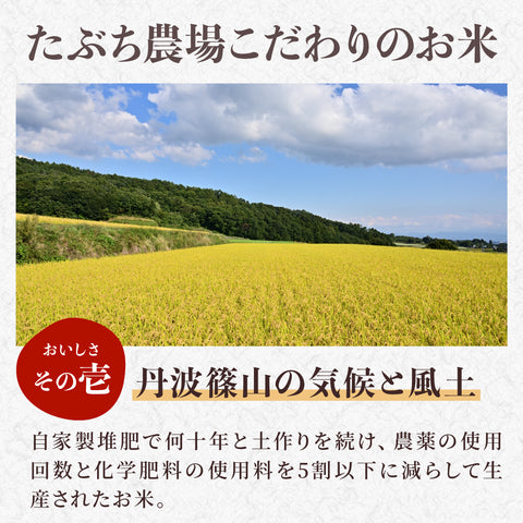 【早期予約】≪特別栽培米≫こしひかり【定期便】 精米