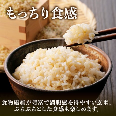 ≪特別栽培米≫ 令和7産こしひかり 玄米20㎏