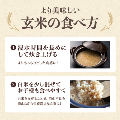 ≪特別栽培米≫ 令和7産こしひかり 玄米20㎏