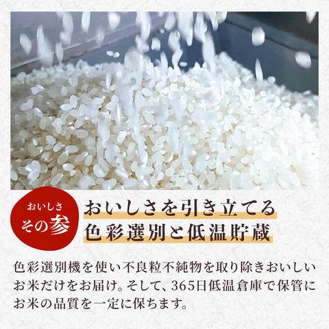 【早期予約】≪特別栽培米≫こしひかり【定期便】 精米
