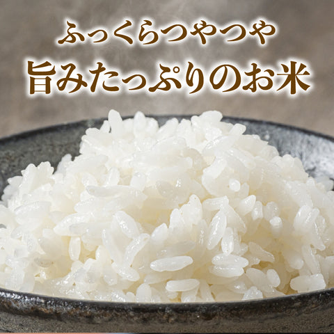 【早期予約】≪特別栽培米≫こしひかり【定期便】 精米
