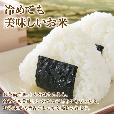 【早期予約】≪特別栽培米≫こしひかり【定期便】 精米