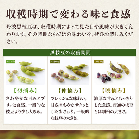 【今期最終便】11/4出荷!丹波篠山の黒大豆 さや枝豆1㎏ 【晩摘み・完熟】