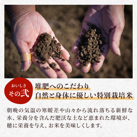 ≪特別栽培米≫ 令和7産こしひかり 玄米20㎏