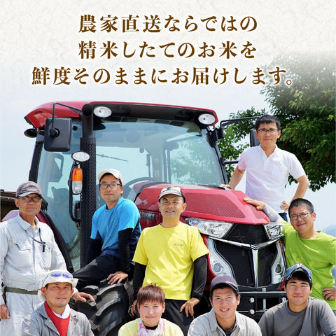 【早期予約】≪特別栽培米≫こしひかり【定期便】 精米