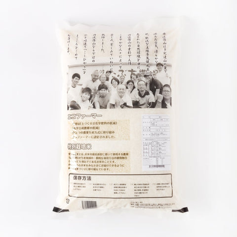 【早期予約】≪特別栽培米≫こしひかり【定期便】 精米