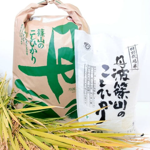 【早期予約】≪特別栽培米≫こしひかり【定期便】 精米
