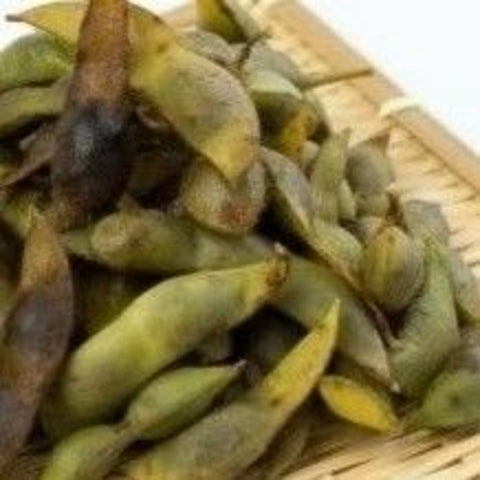 【早期予約】10/23出荷!丹波篠山の黒大豆 さや枝豆1㎏ 【晩摘み】