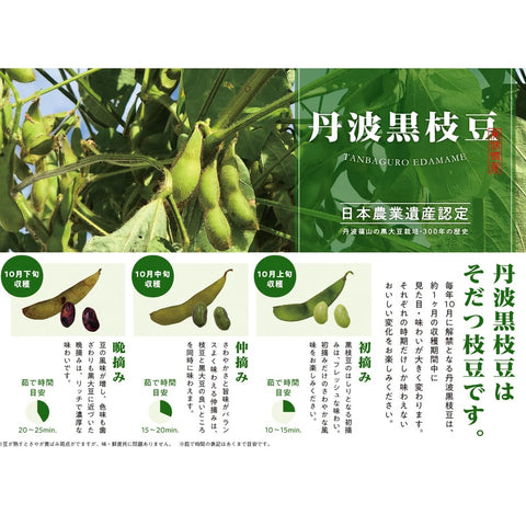 【早期予約】10/23出荷!丹波篠山の黒大豆 さや枝豆1㎏ 【晩摘み】