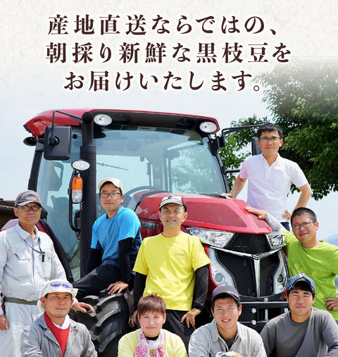 【早期予約】10/23出荷！丹波篠山の黒大豆　さや枝豆1㎏ 【晩摘み】