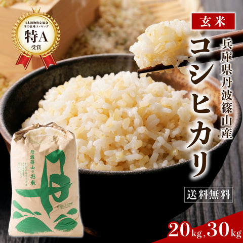≪特別栽培米≫ 令和7産こしひかり　玄米20㎏