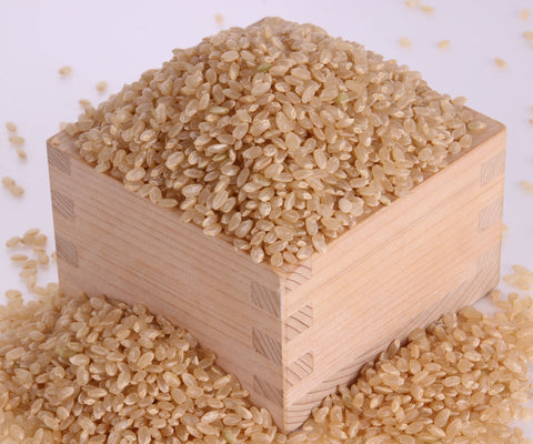 ≪農薬不使用米≫こしひかり　玄米5kg~20㎏