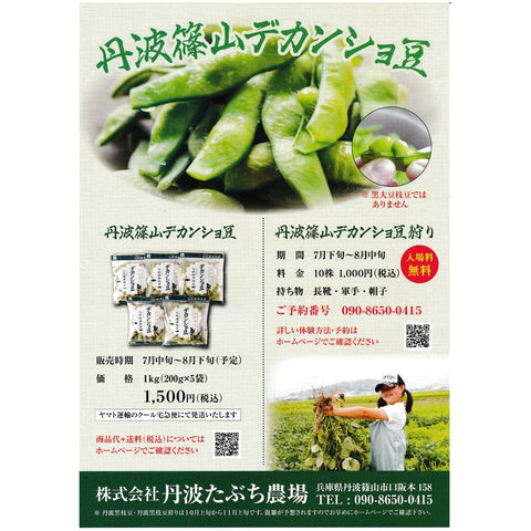 夏のデカンショ豆　500ｇ×2袋　クール便にて発送 【旬のお届け】