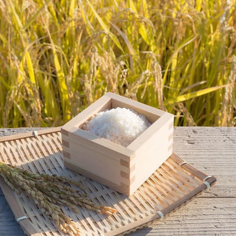 ≪農薬不使用米≫こしひかり　精米5kg~20㎏