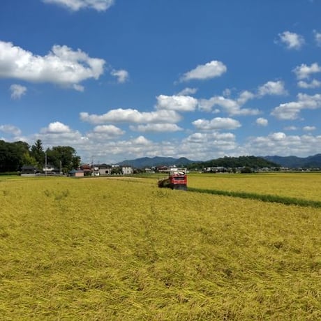 ≪農薬不使用米≫こしひかり　精米5kg~20㎏