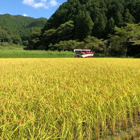 【11月中旬以降順次発送予定】令和7年産【まんげつもち】もち米　3㎏