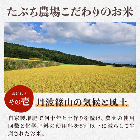 【仲摘み10/15~23出荷】秋の味覚セット（丹波篠山の黒枝豆1㎏とR8年産新米3kgのセット）
