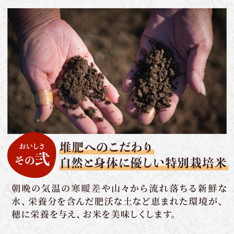【仲摘み10/15~23出荷】秋の味覚セット（丹波篠山の黒枝豆1㎏とR8年産新米3kgのセット）