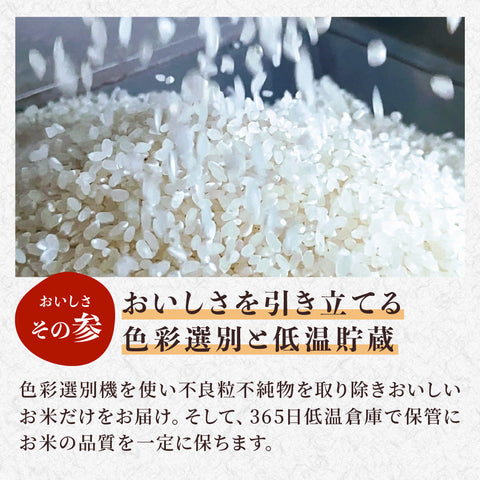 【仲摘み10/15~23出荷】秋の味覚セット（丹波篠山の黒枝豆1㎏とR8年産新米3kgのセット）