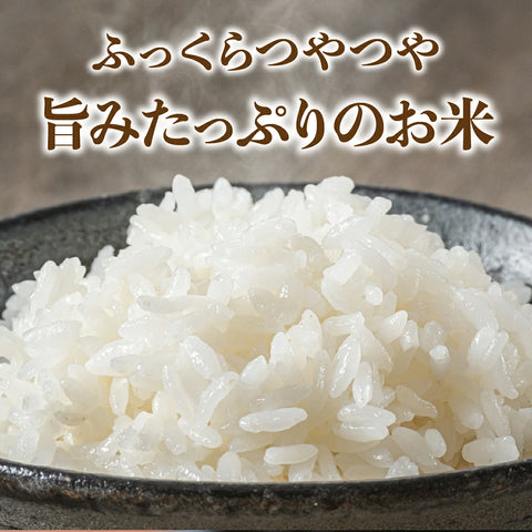 【仲摘み10/15~23出荷】秋の味覚セット（丹波篠山の黒枝豆1㎏とR8年産新米3kgのセット）
